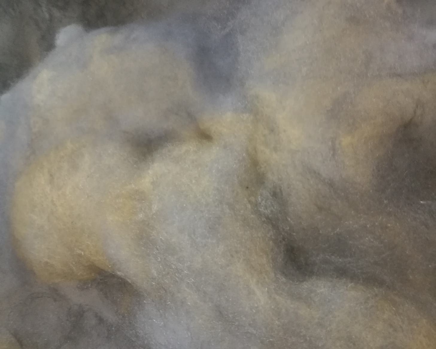 gal weistein, "sun stand still". padiglione di israele, biennale di venezia 2017, photo © artbooms