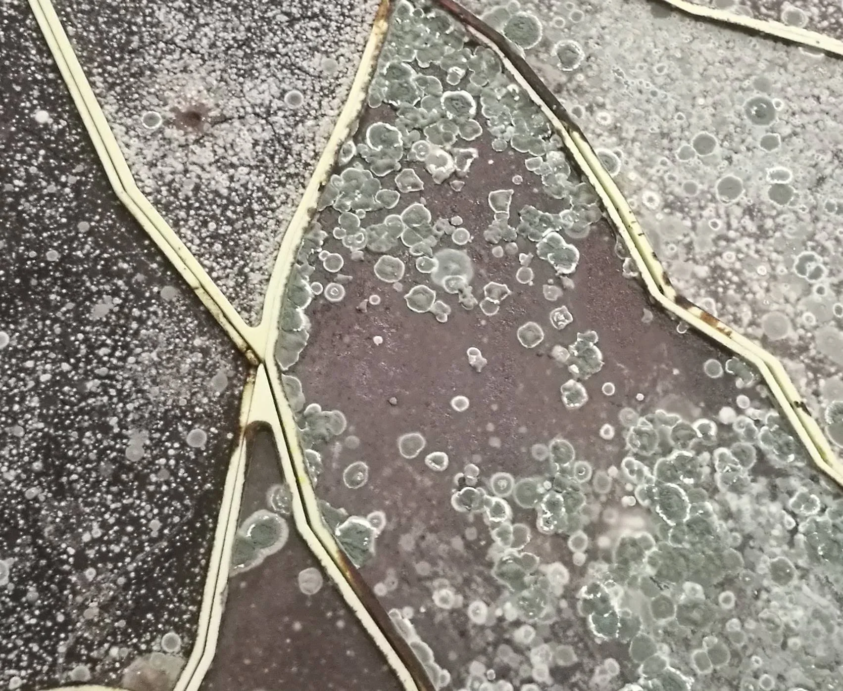 gal weistein, "sun stand still". padiglione di israele, biennale di venezia 2017, photo © artbooms