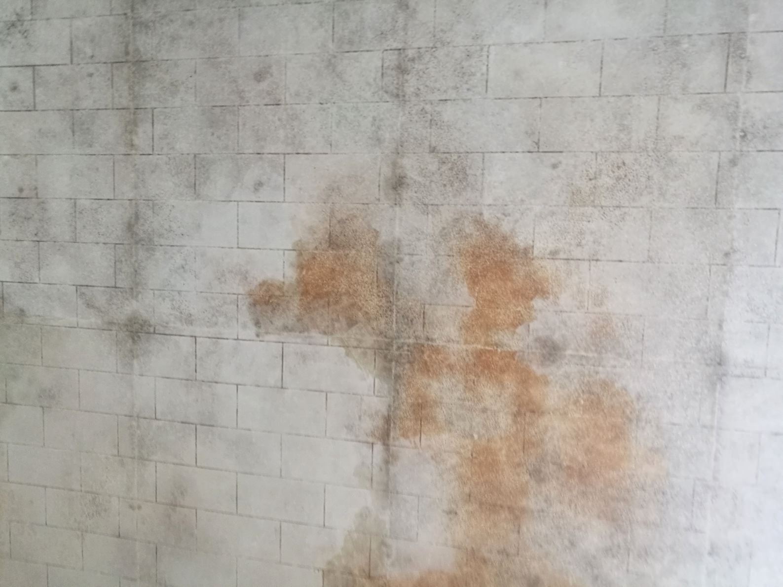 gal weistein, "sun stand still". padiglione di israele, biennale di venezia 2017, photo © artbooms