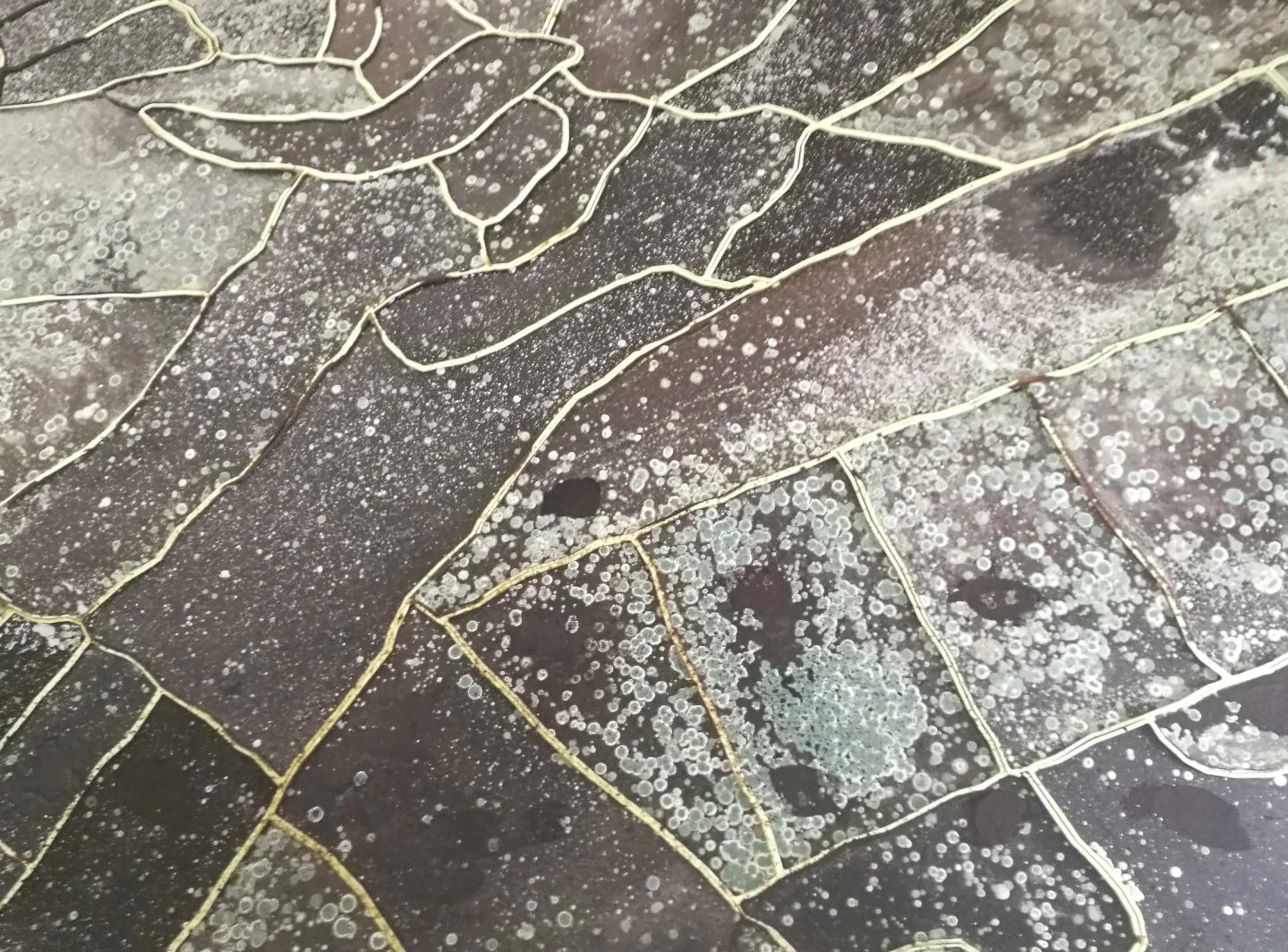 gal weistein, "sun stand still". padiglione di israele, biennale di venezia 2017, photo © artbooms