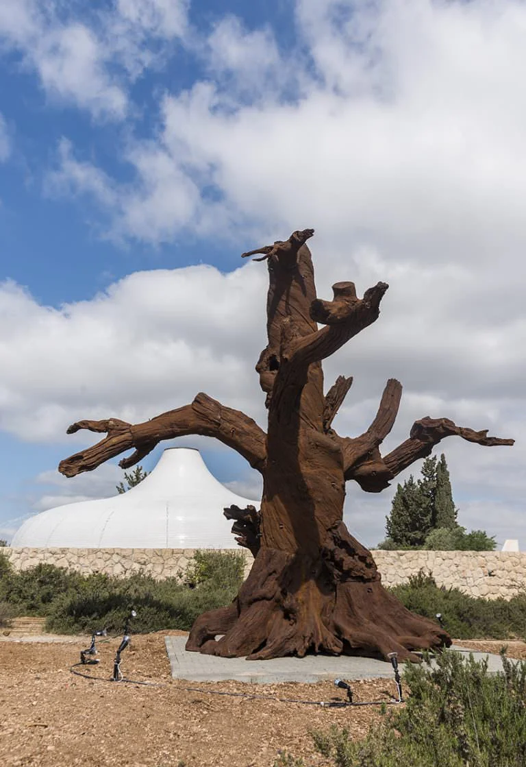 ai-weiwei-iron-trees-museo-israele-01