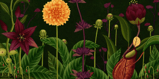 Il magico mini-film animato di Azuma Makoto nato per spiegare alla figlia la vita dei fiori