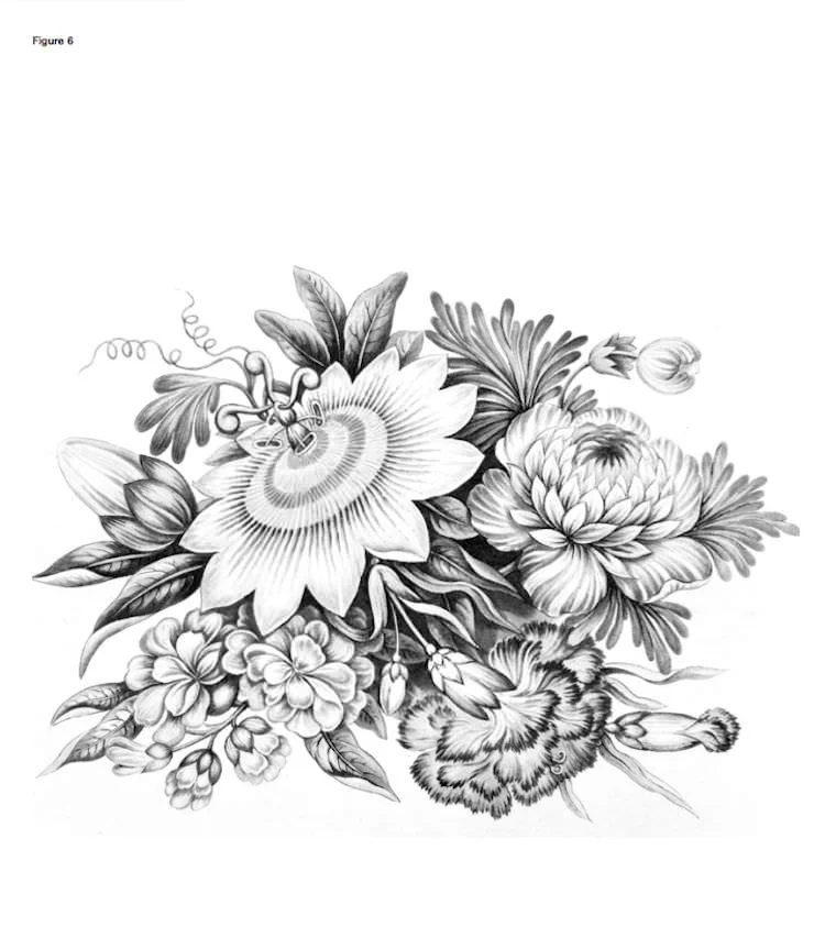 color-our-collections-libri-arte-da-colorare-per-adulti-gratis-02