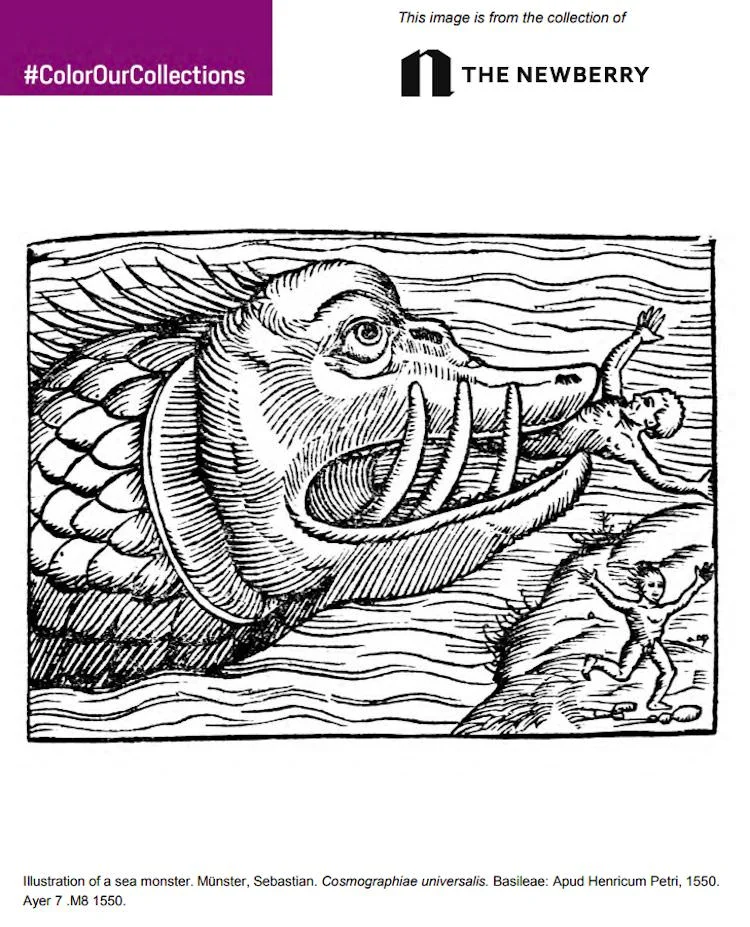 color-our-collections-libri-arte-da-colorare-per-adulti-gratis-015