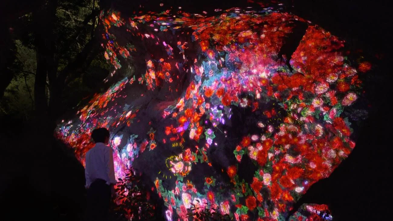Teamlab, "Ever blossoming life rock",