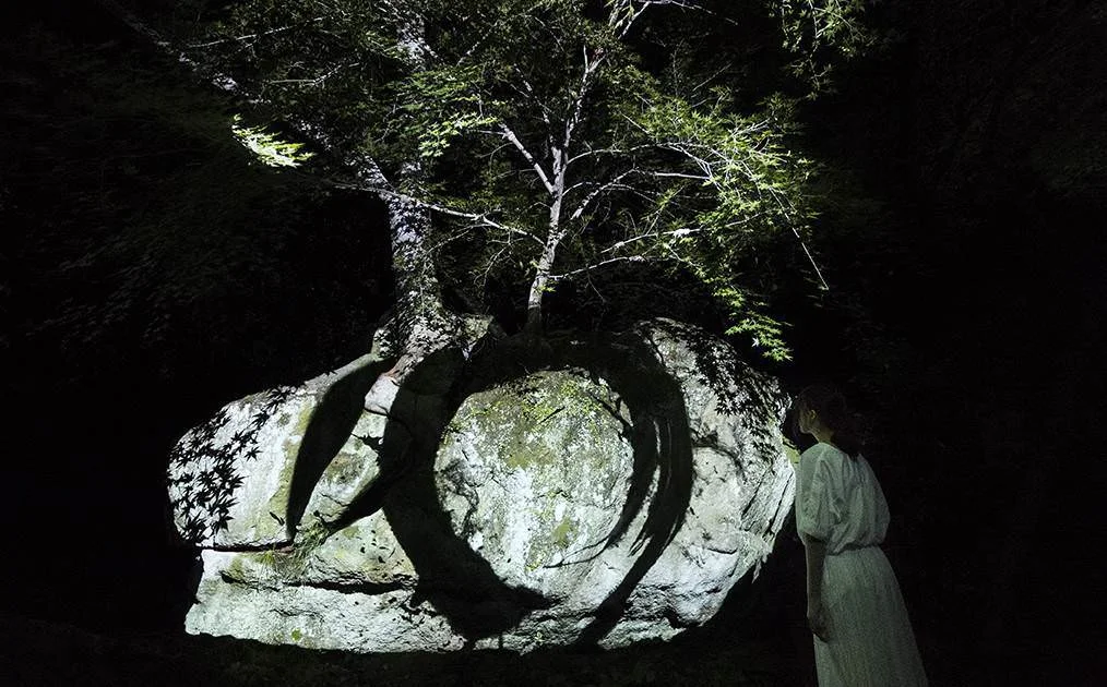 Teamlab, "Split rock and enso"