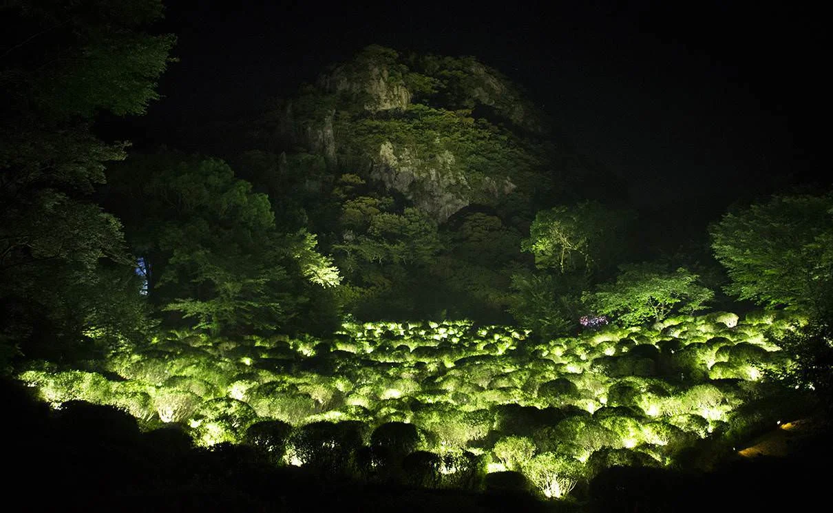 Teamlab, "Life is continuous light -Azalea valley"