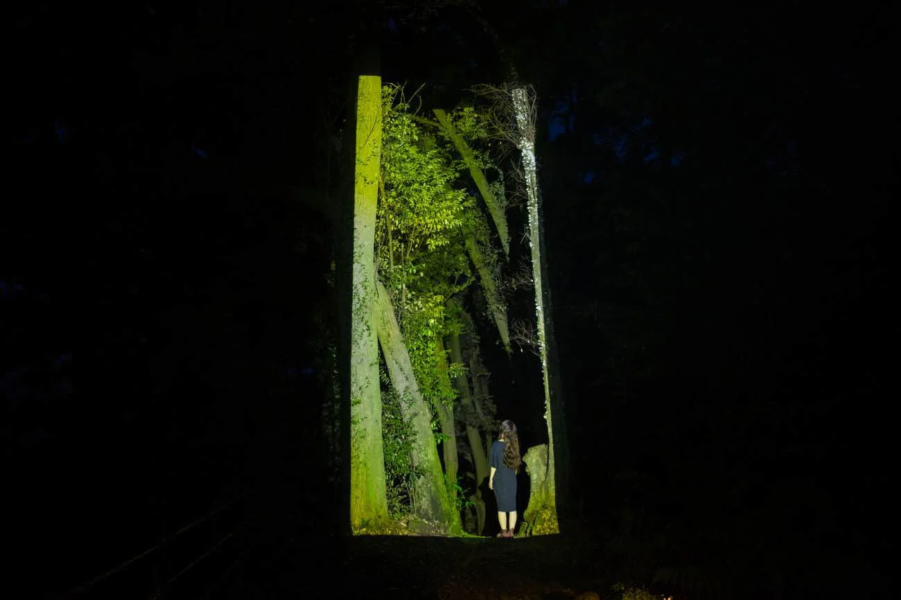 Teamlab, "Cut out continuous life - Forest path"
