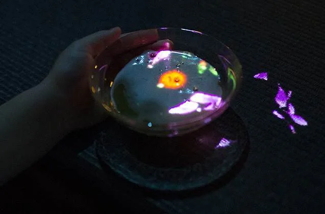 Teamlab, "WASO tea house - Flowers bloom in an infinite universe inside a teacup"