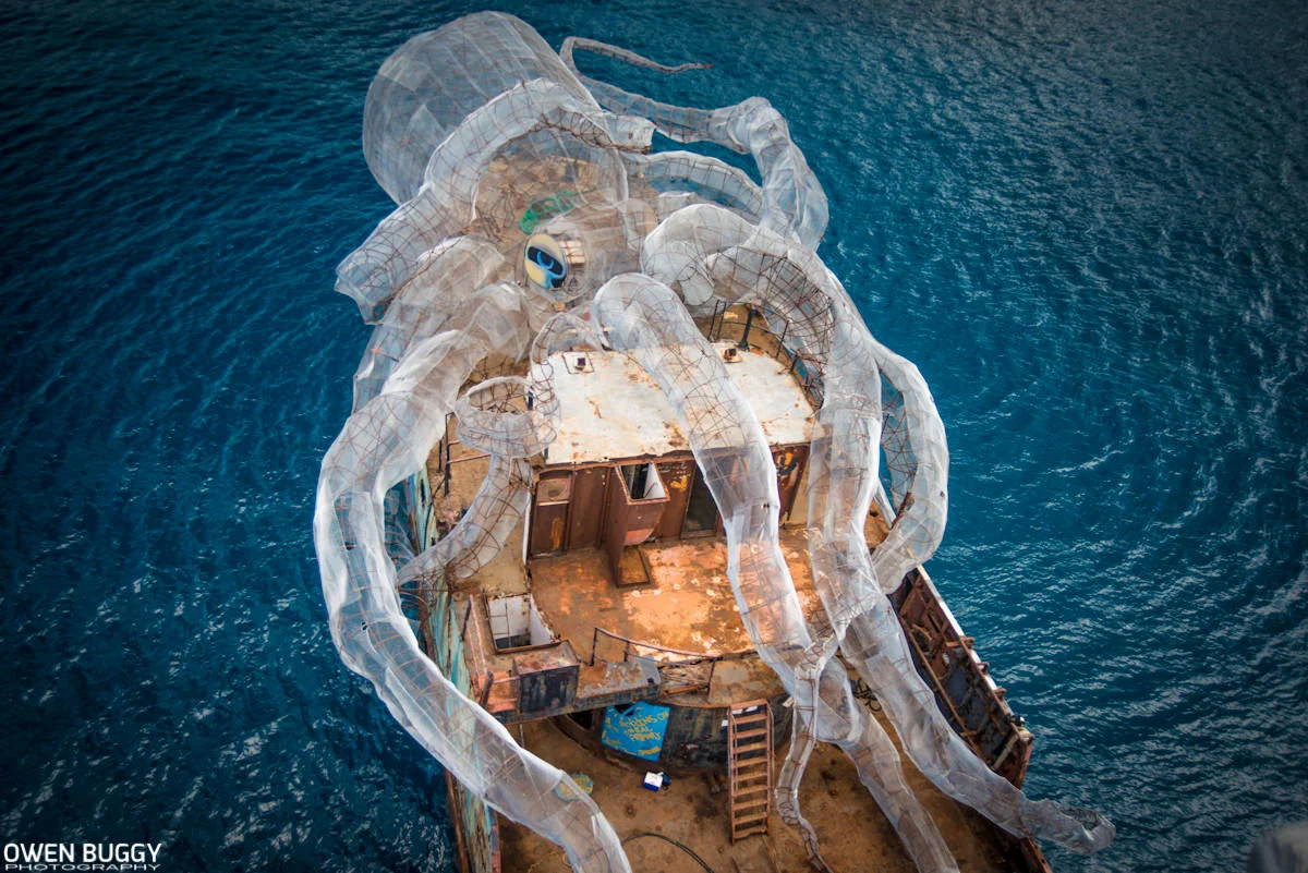 kodiak_queen_06.jpg
