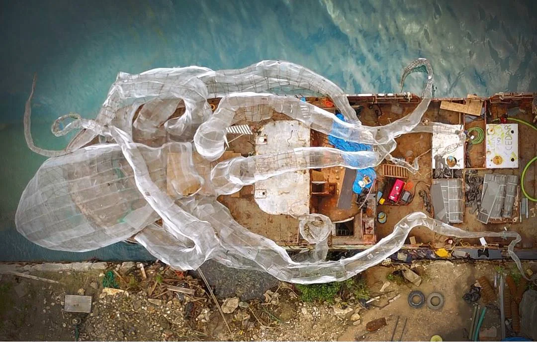 KodiakQueen_01.jpg