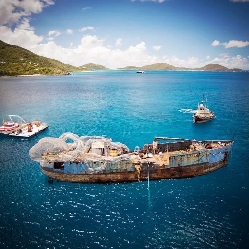 KodiakQueen_04.jpg