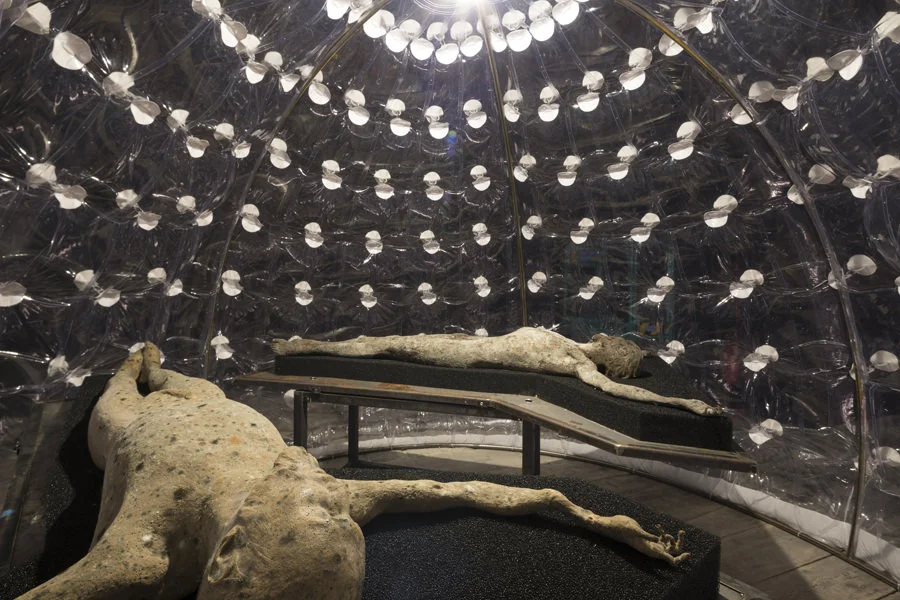 Roberto Cuoghi, Imitazione di Cristo, 2017; Photo Roberto Marossi, Courtesy Roberto Cuoghi