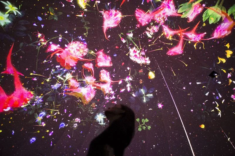 Teamlab,&nbsp;‘Story of the Forest’, National Museum of Singapore