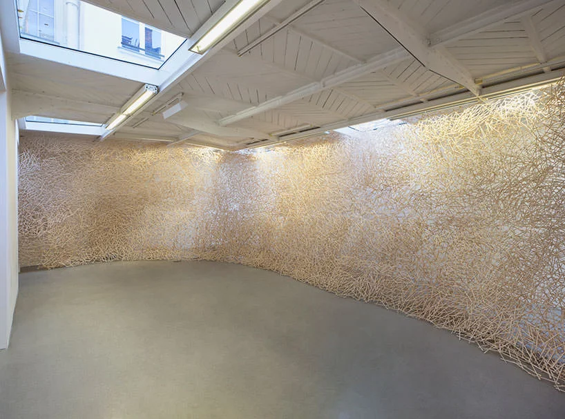 the nest, 2017 | bastoncini, colla | dimensioni variabili