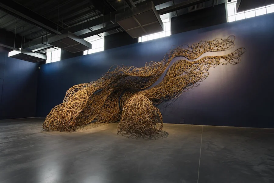 'The Thicket Inside', Flanders Red willow, 2017 Photo by Electric Egg.