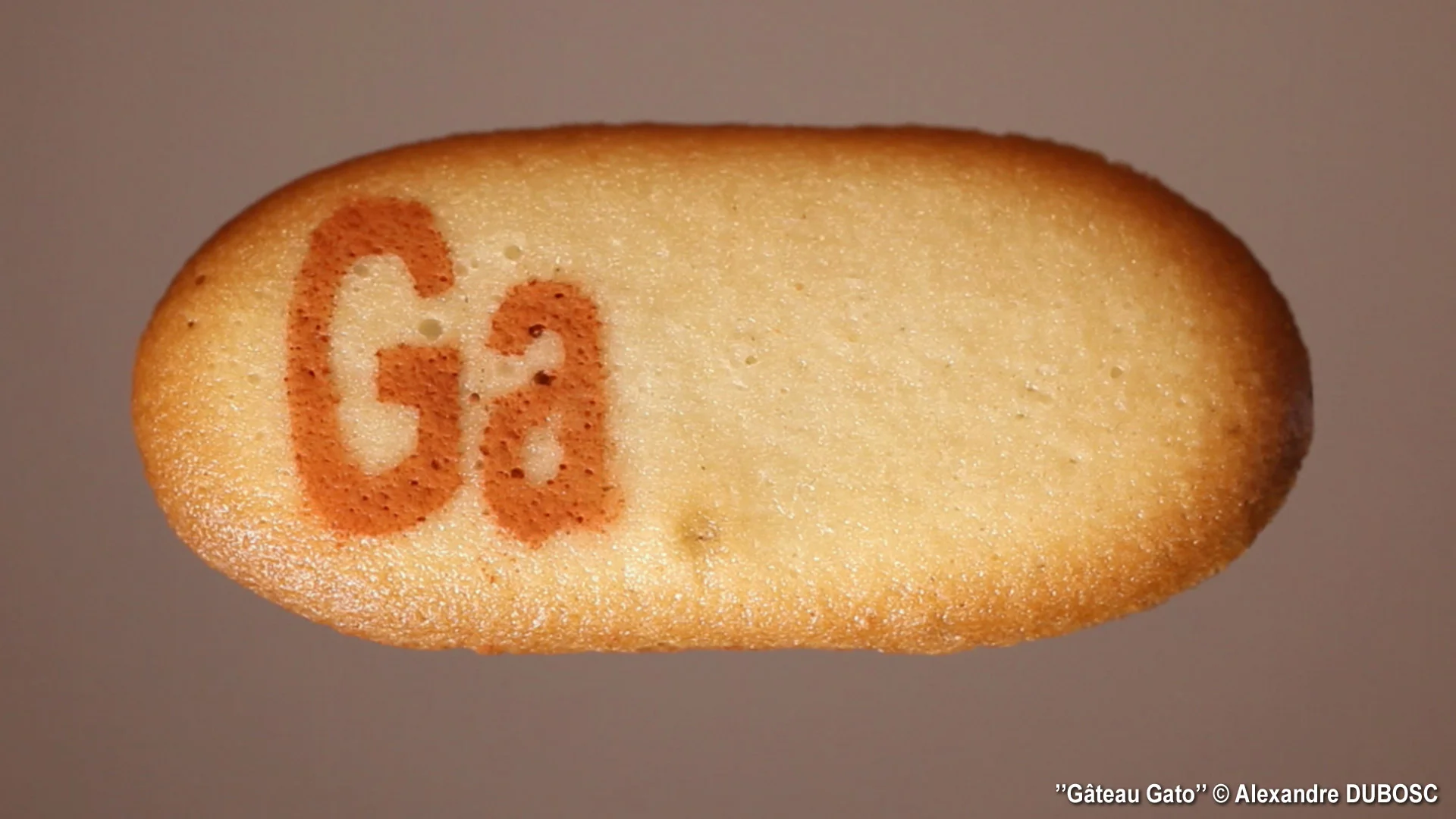 alexandre-dubosc-gateau-gato