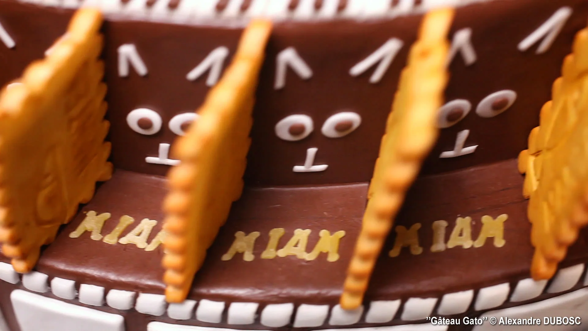alexandre-dubosc-gateau-gato-03