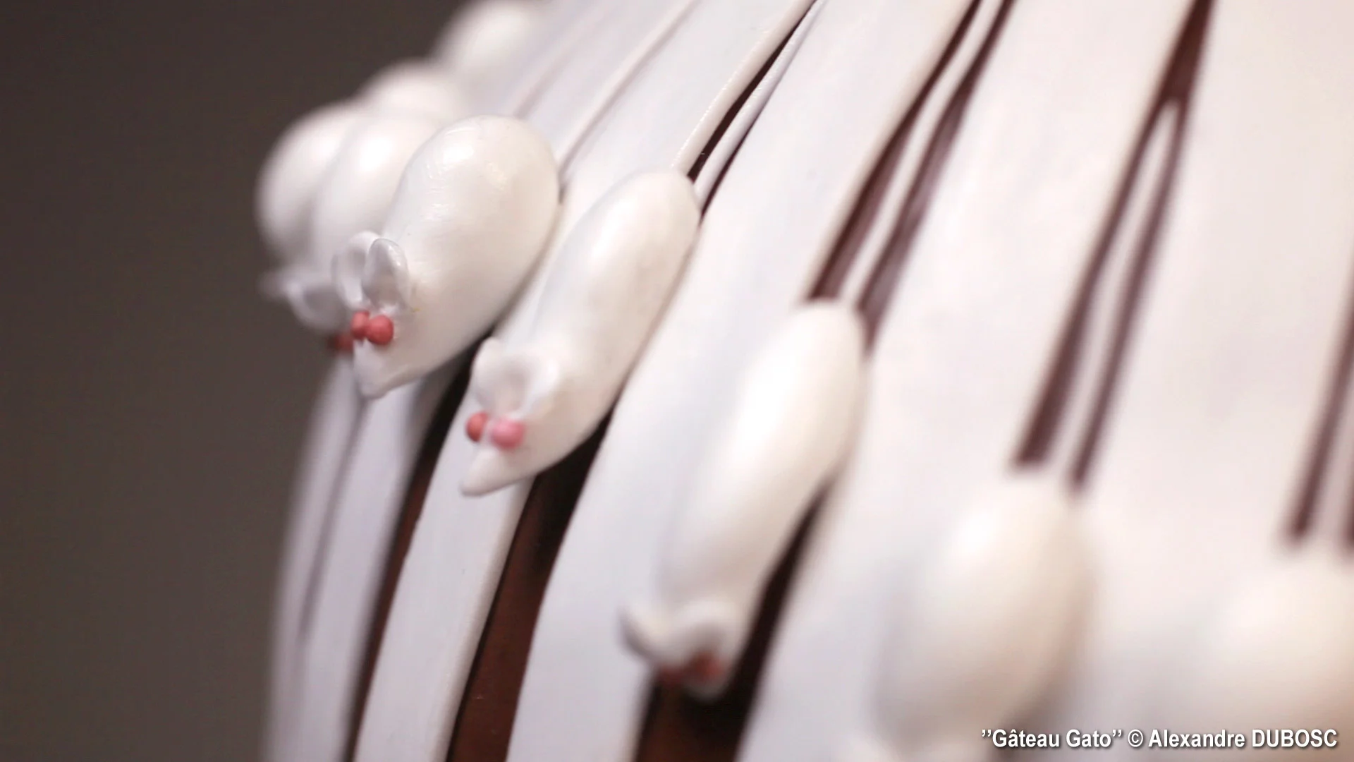 alexandre-dubosc-gateau-gato-04