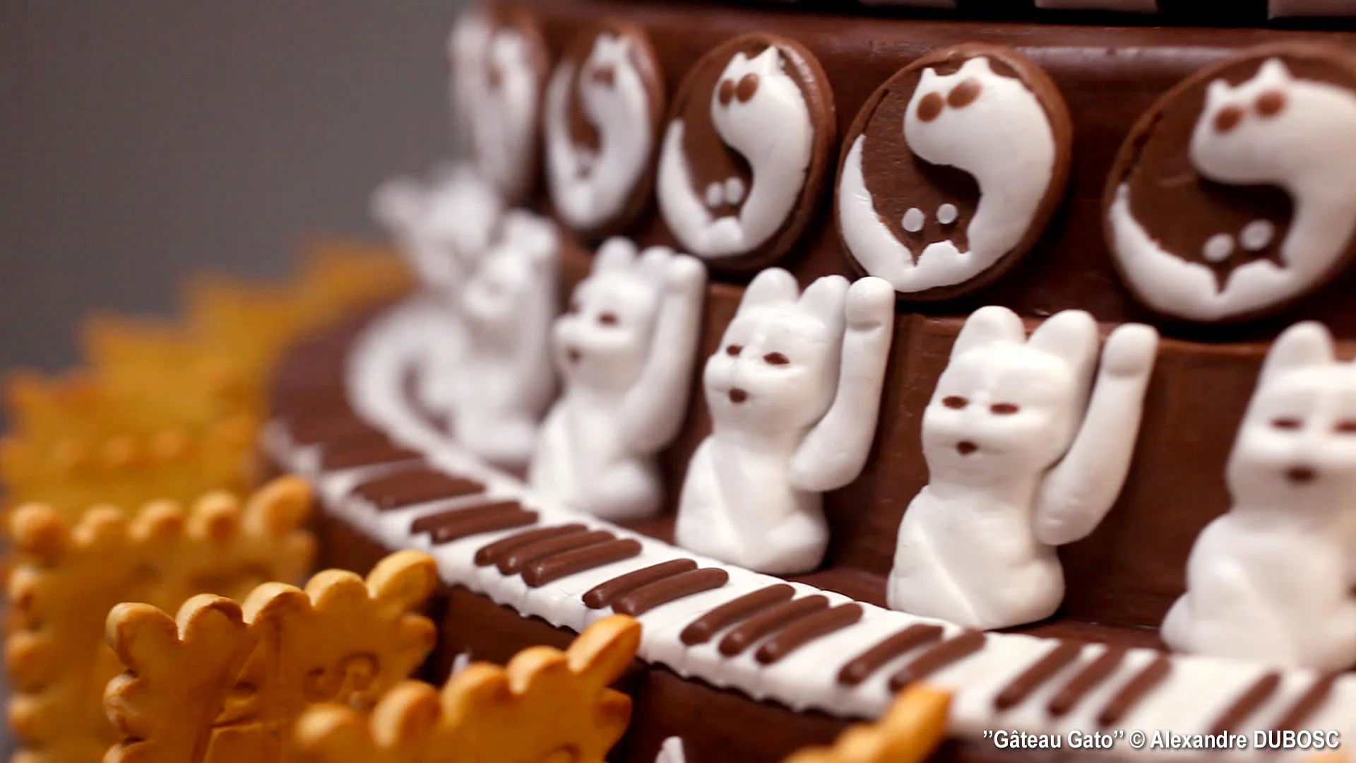 alexandre-dubosc-gateau-gato-05