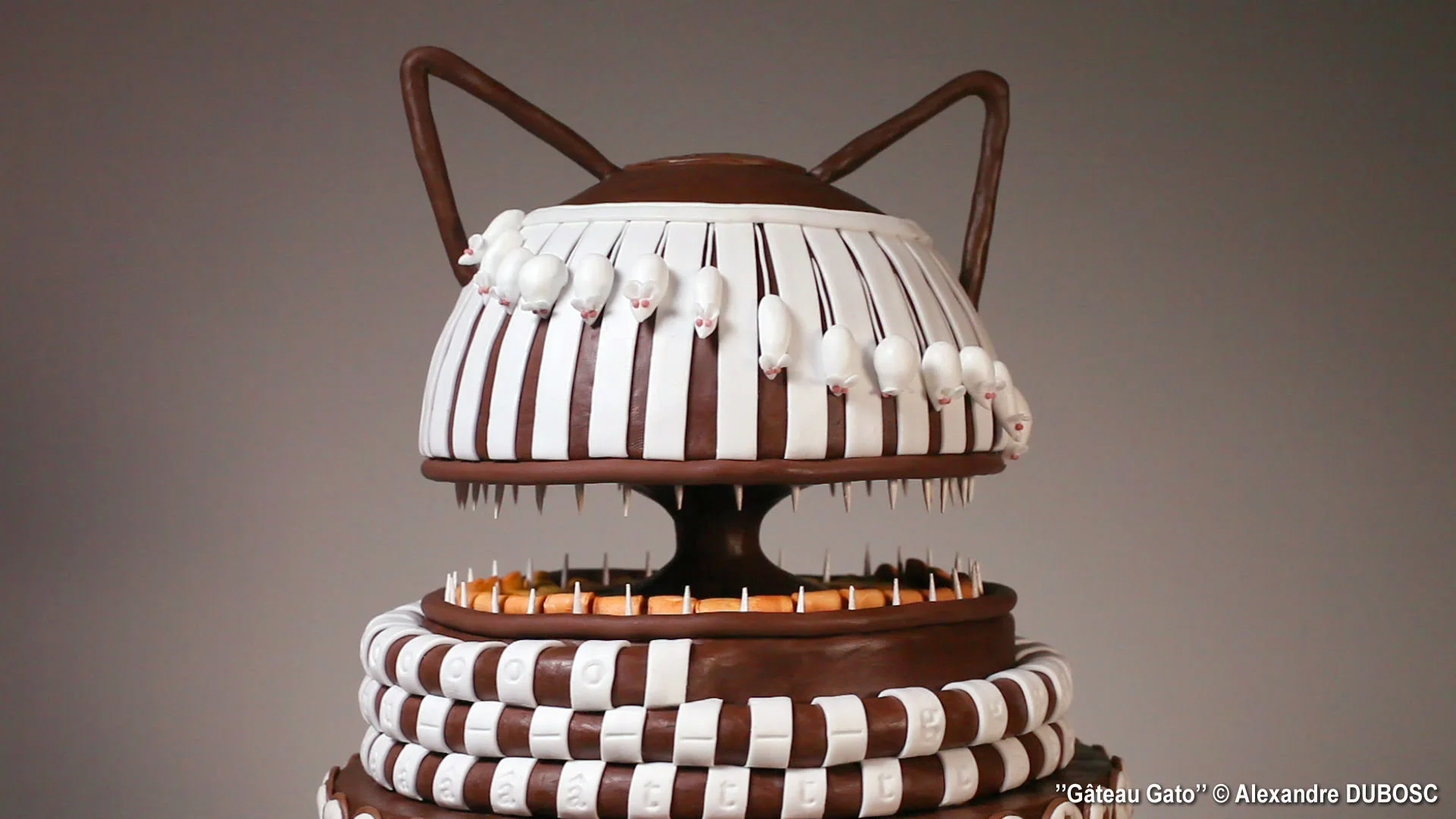 alexandre-dubosc-gateau-gato-08
