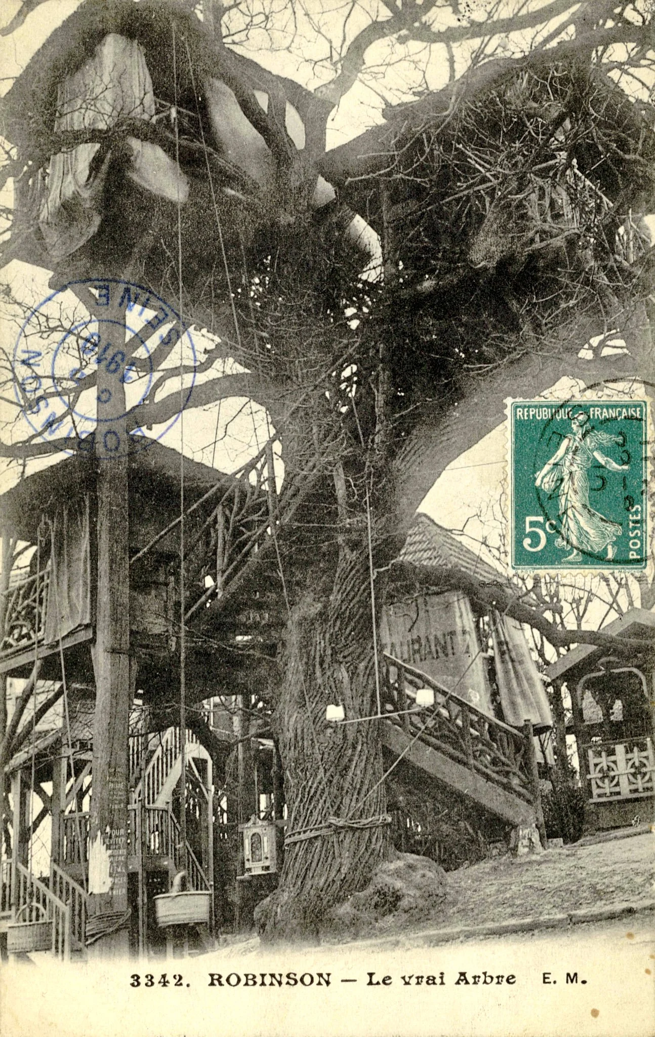 tree-3.jpg