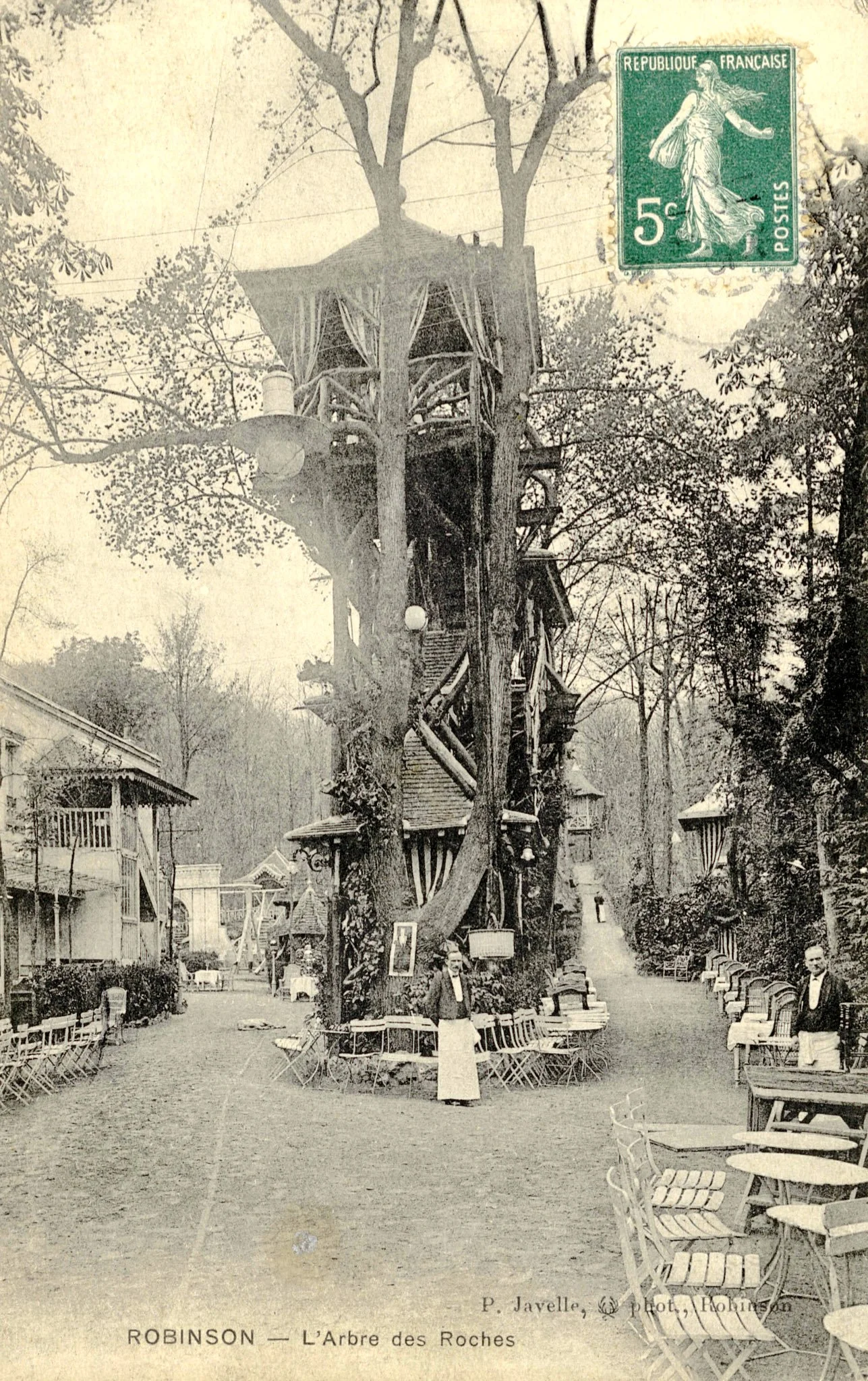 tree-2.jpg