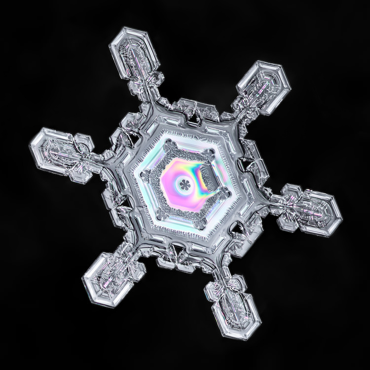 Le Macrofotografie Non Photoshoppate Dei Fiocchi Di Neve