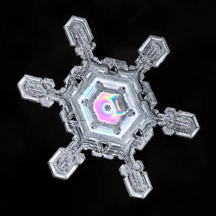 Snowflakes. All photos ©&nbsp;Don Komarechka