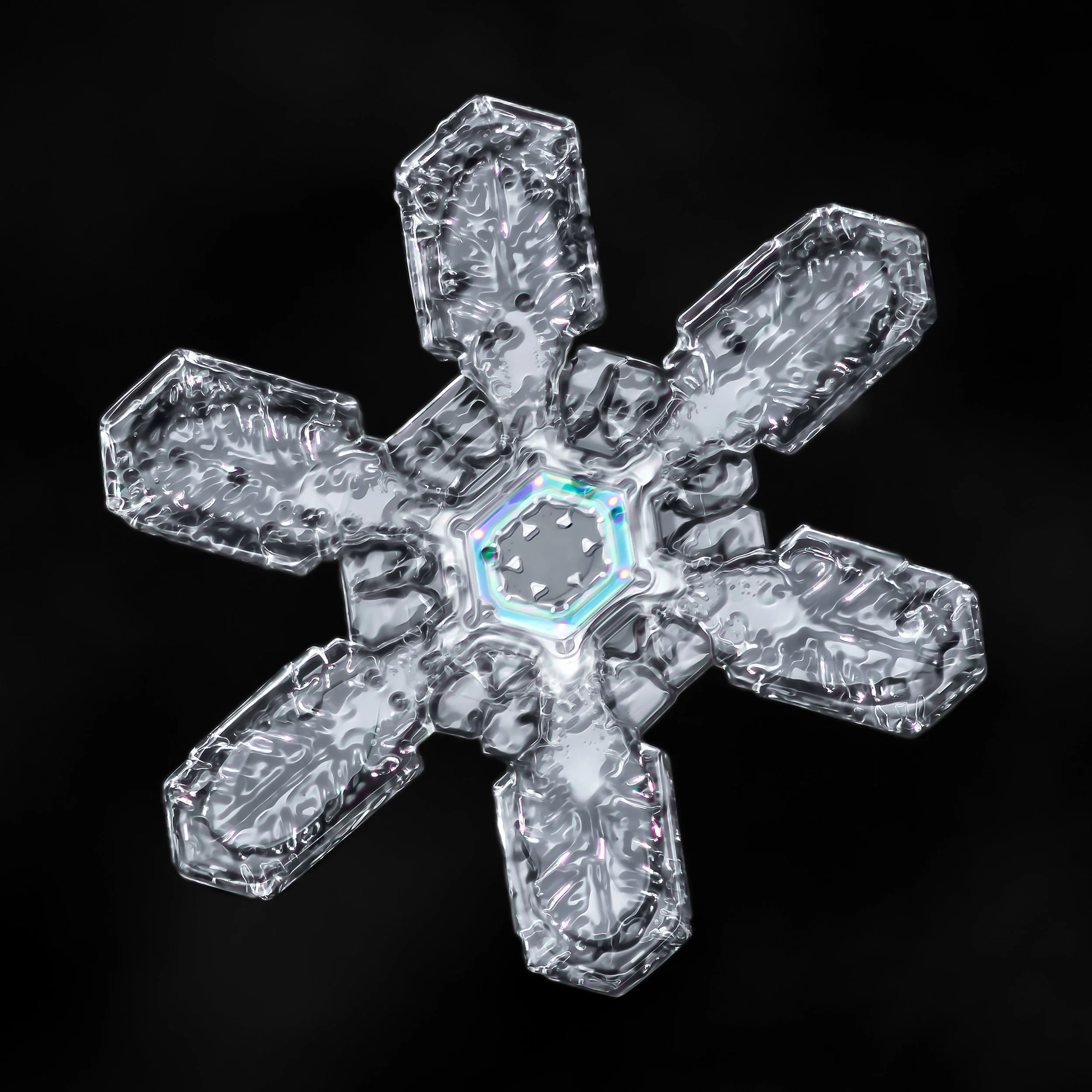 macro-snowflake-03.jpg