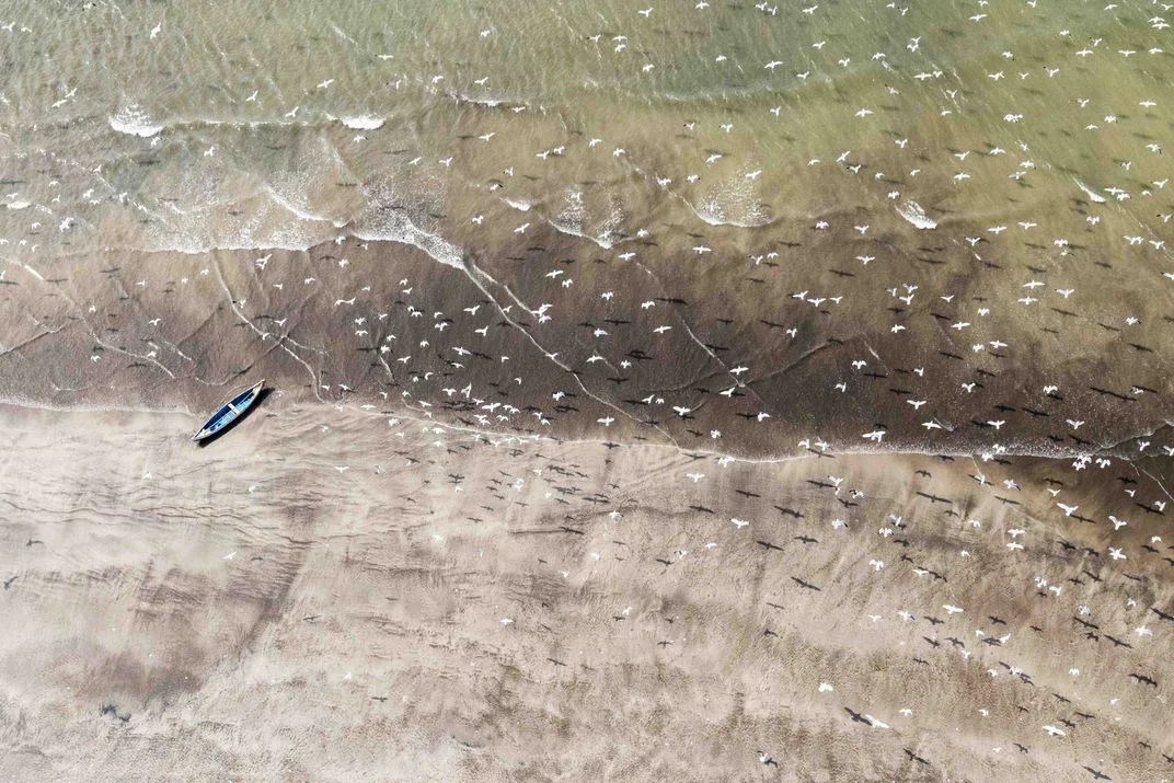 Seeing Double, © Vikas Datta. Volo di gabbiani che proiettano le loro ombre su una spiaggia