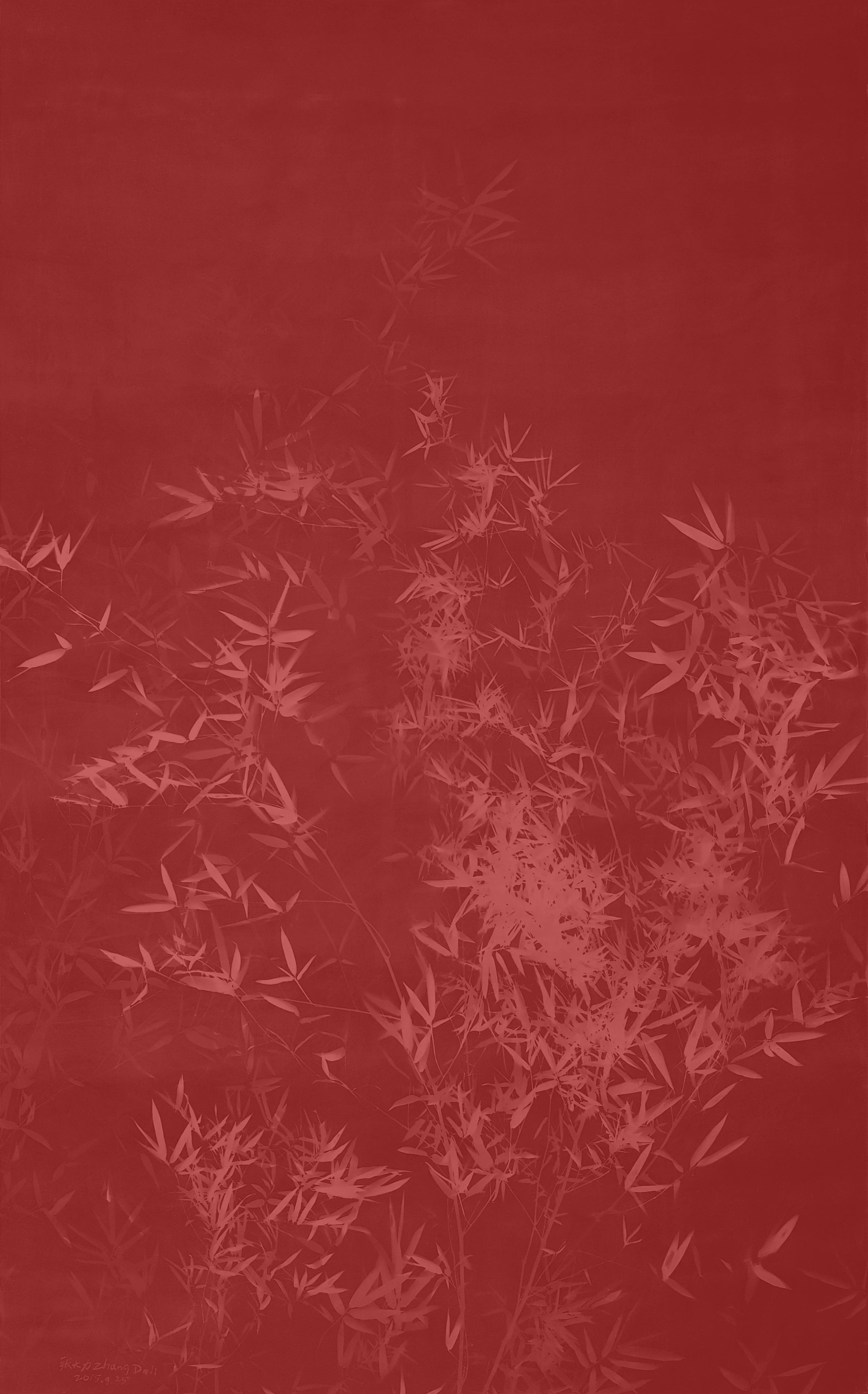 Zhang Dali, Cianotipo, Bamboo