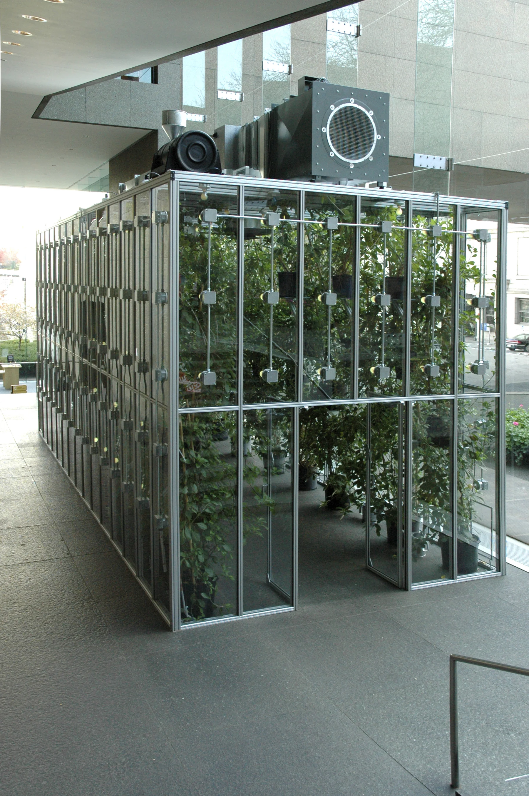 Solandra Greenhouse (Garden of Love), “Carnegie International 2004”, Carnegie Museum of Art, Pittsburgh, 2004