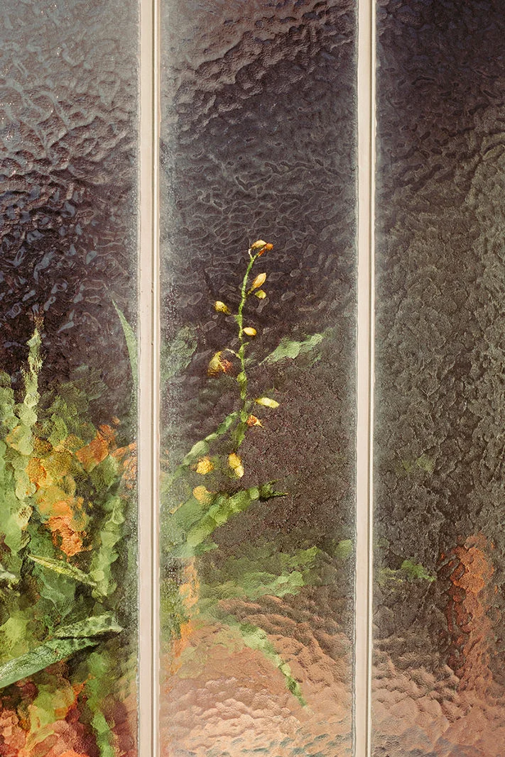 samuel-zeller-geneva-botanical-6679.jpg