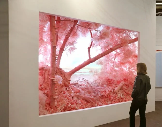 Patrick Jacobs, Pink Forest, 2018 (335 x 457 x 320 cm). Paper, foam, clay, aluminum, styrene, epoxy, glue, polyurethane, acrylic paint, wood, lighting, fabric.