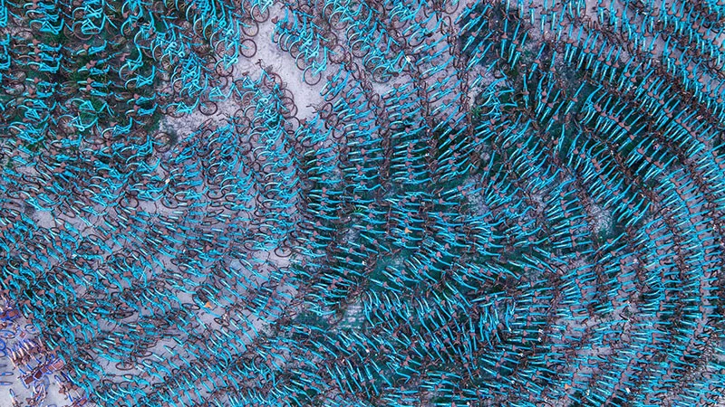 Le fotografie aeree che catturano tutta la bellezza dei cimiteri di biciclette cinesi