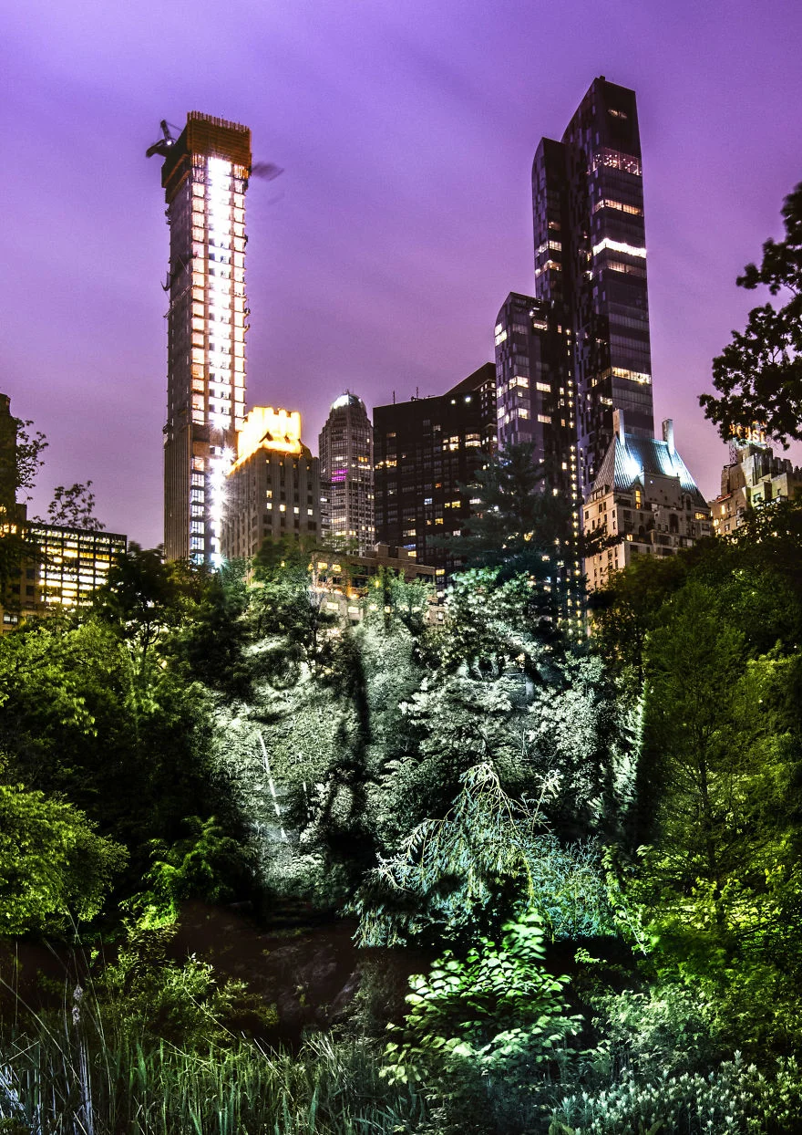 A-World-First-in-New-york-8-Little-Defition-5b1655346f215__880.jpg