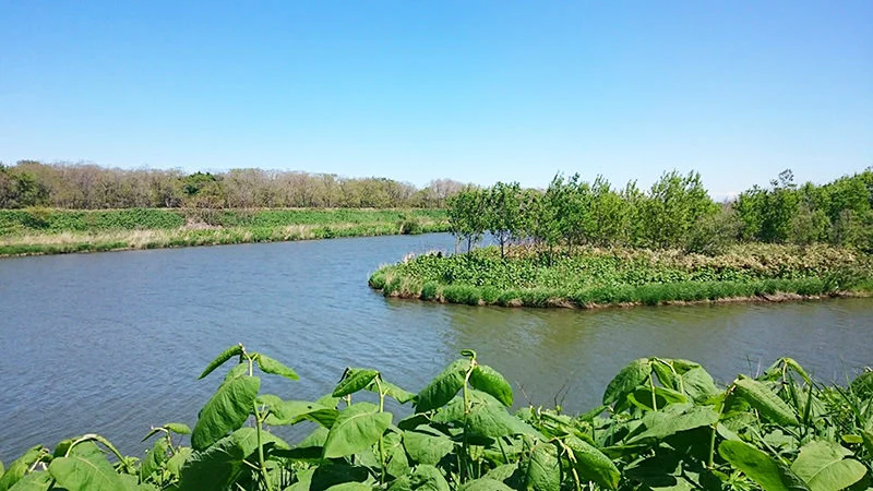 3 the join of two rivers.jpg