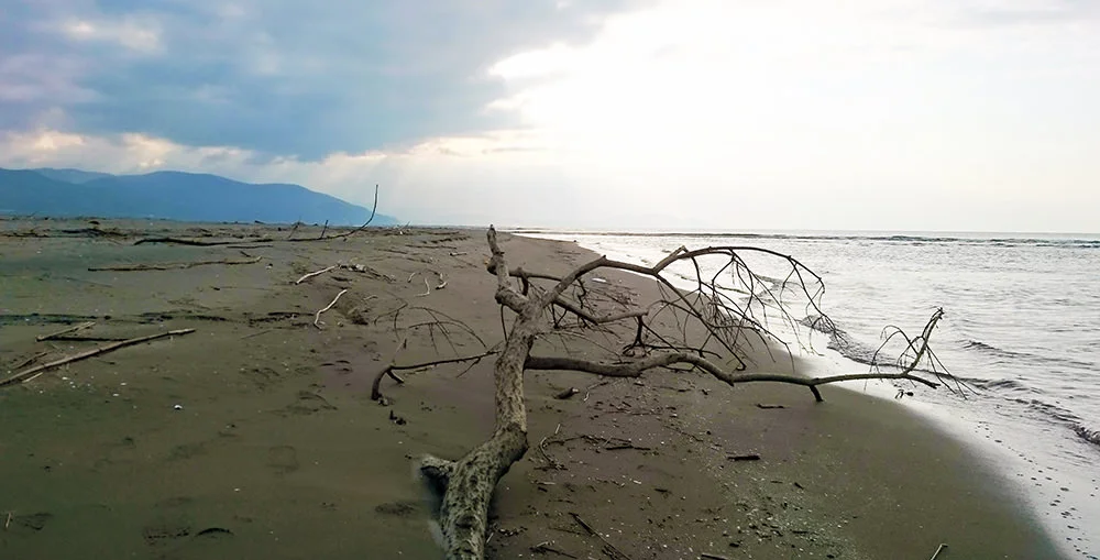 2 the sandy beach.jpg