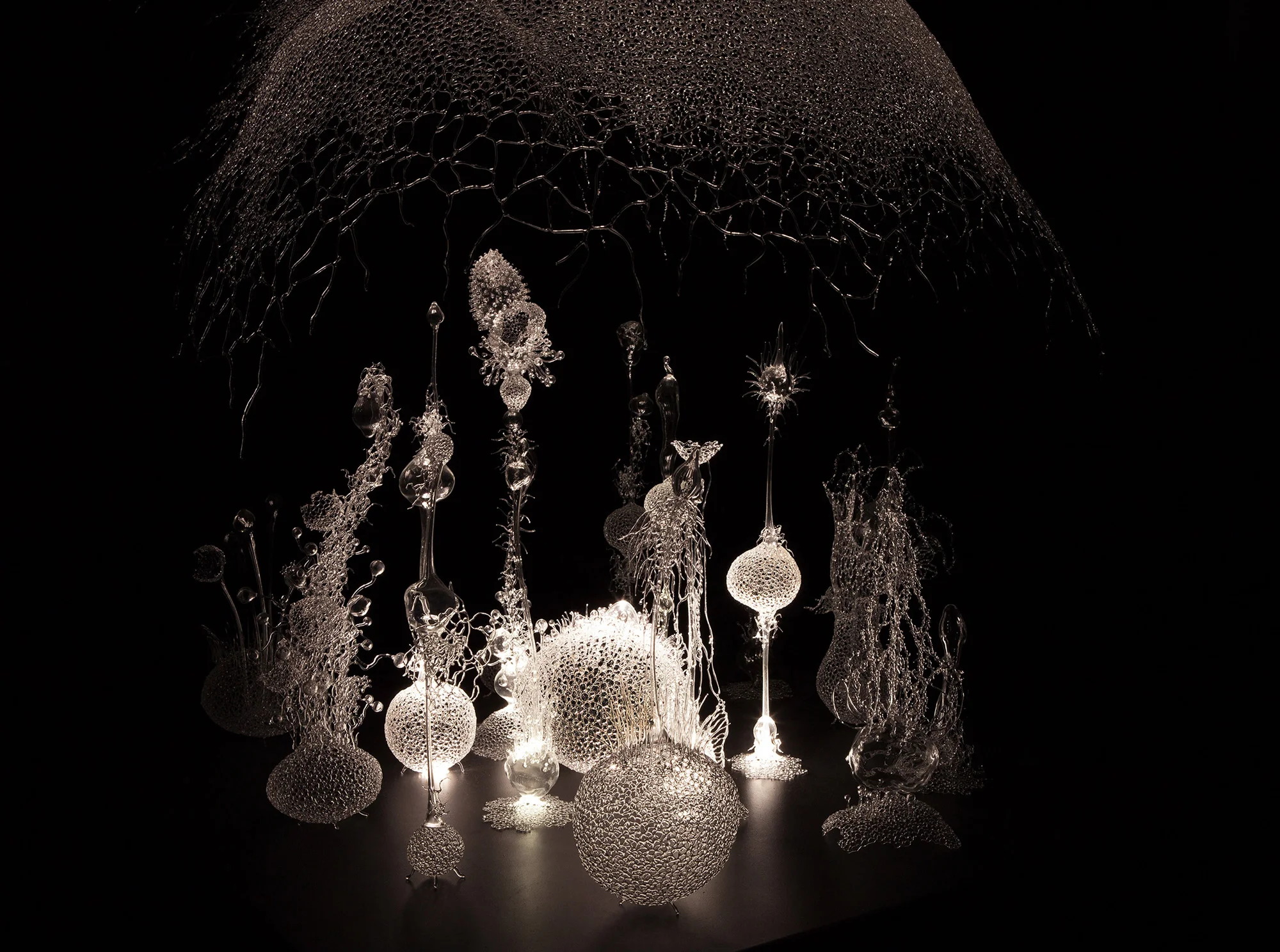 kotototamalune_Garden_Micro_Organisms.jpg