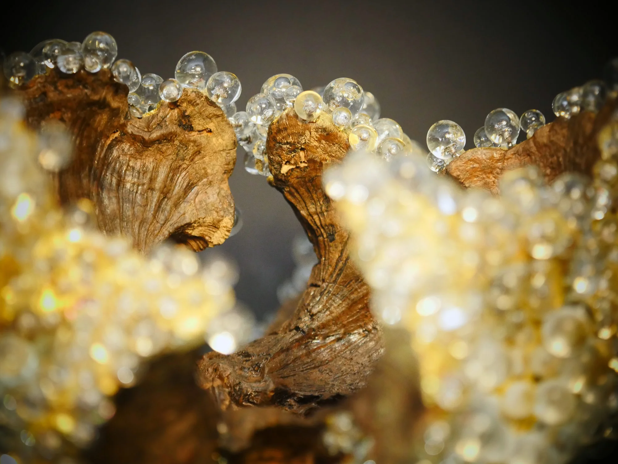 Detail of “Gelée Royale” (2017), Wood and glass, 16 x 11 x 15 inches