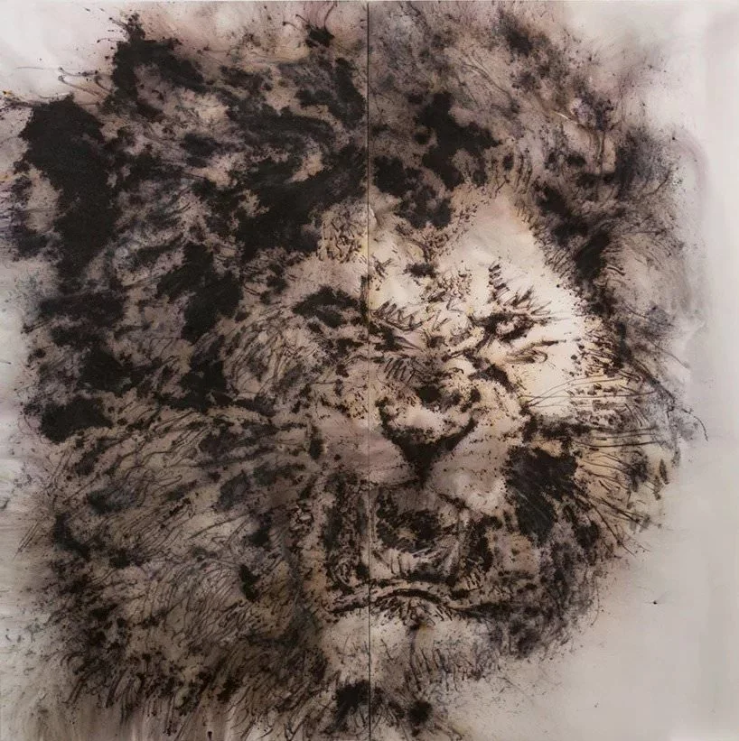 cai guo qiang, study for pompeii: fierce lion (2018); photo by yvonne zhao, courtesy cai studio