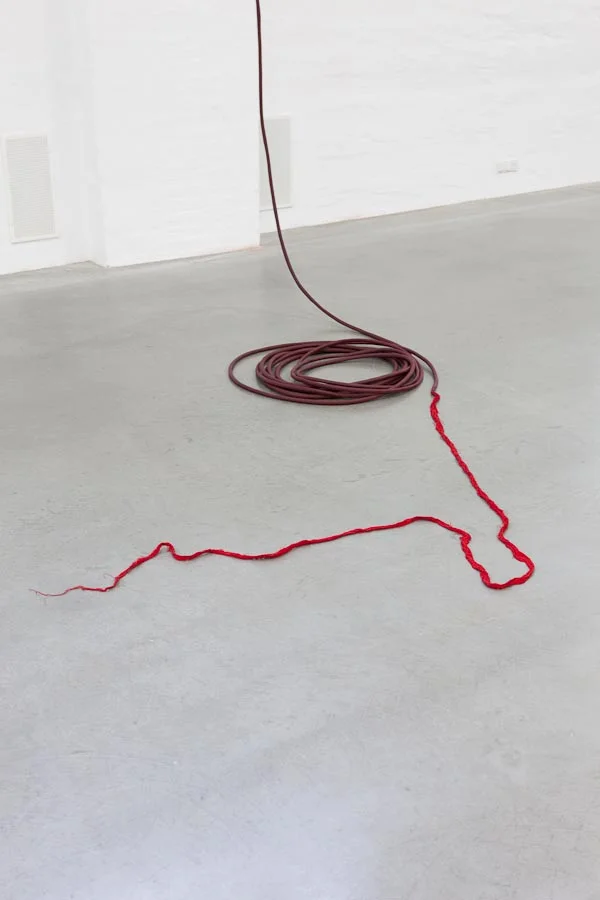Sheela Gowda; And…, 2007 (dettaglio). Courtesy dell’artista e Office for Contemporary Art Norway (OCA), Oslo. Foto: OCA / Vegard Kleven
