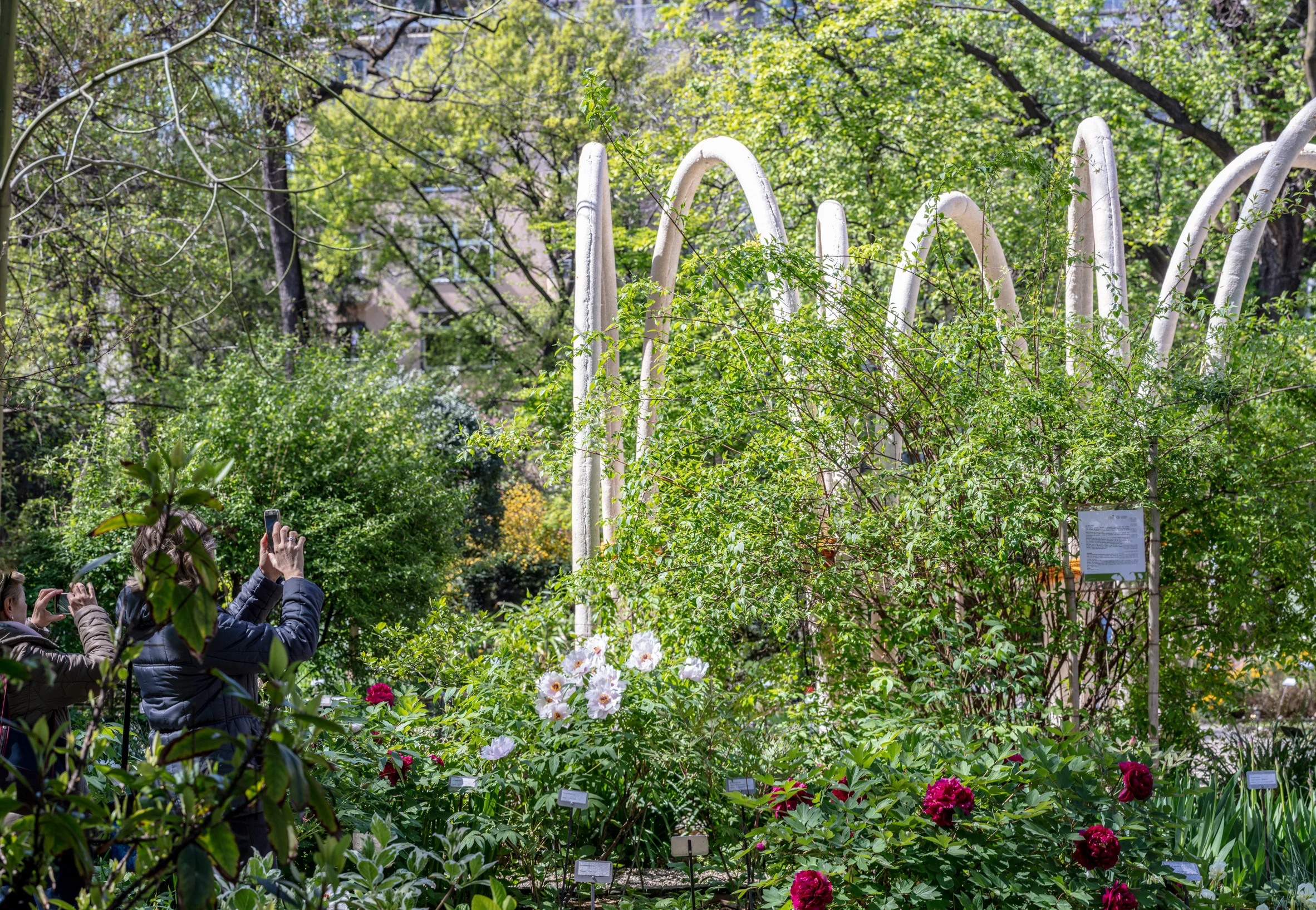 carlo-ratti-circular-garden-design_17.jpg