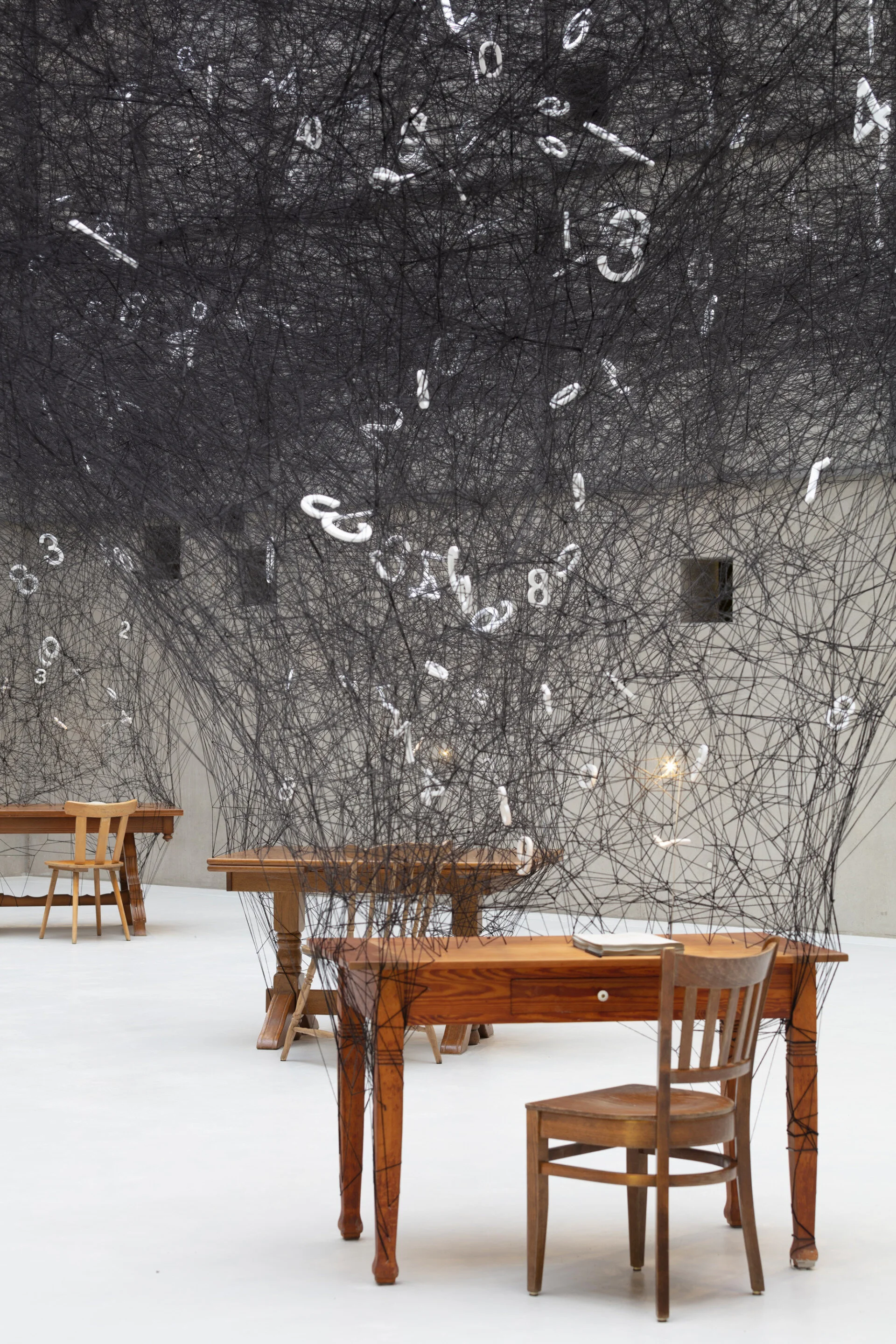 All photos are via Colossal