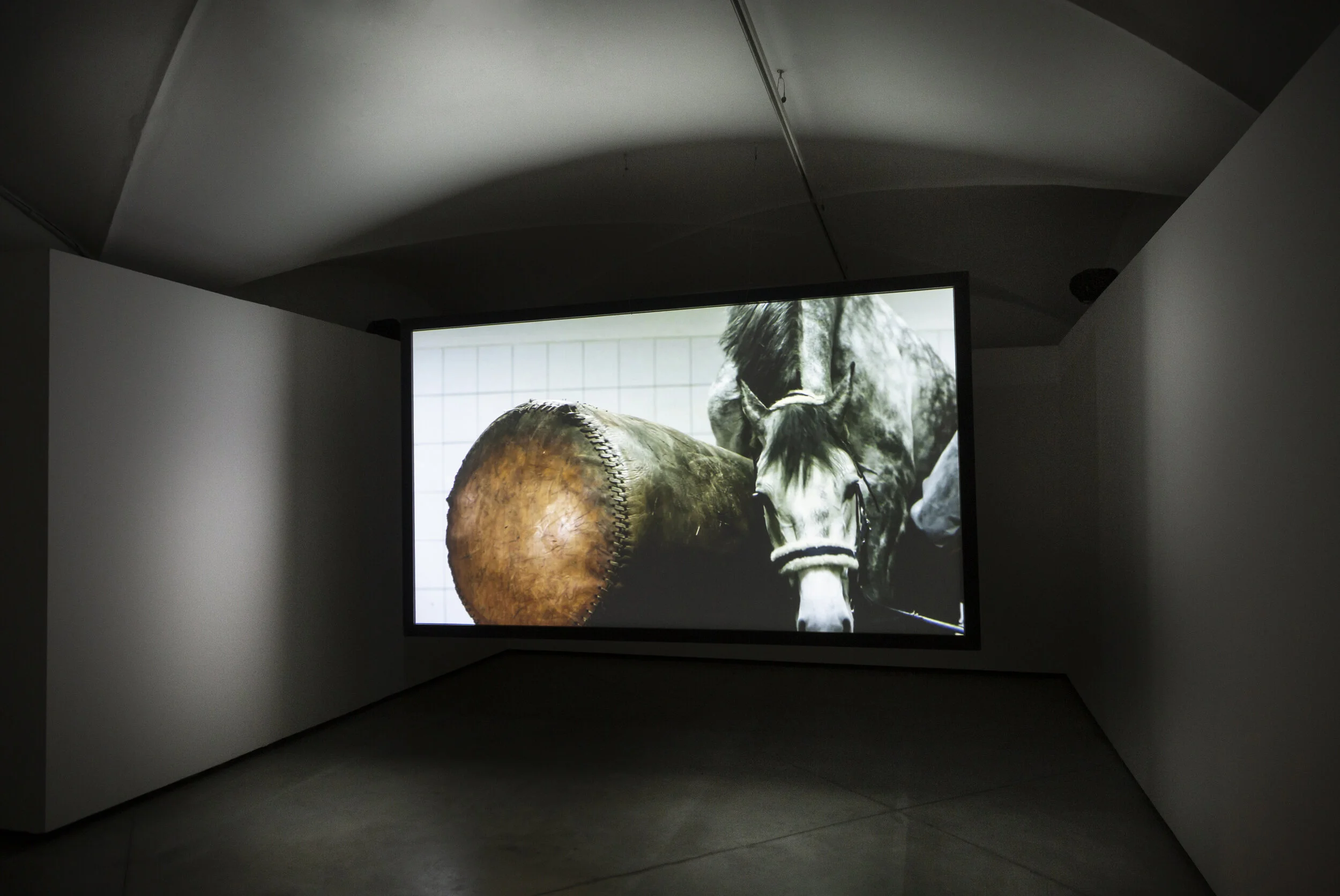 Agnieszka Mastalerz (1991, Polonia; vive e lavora in Germania) Installation view, PLAY DOWN, 2017, 2’27’’. Courtesy Wechta Stallion Station, Polonia ph. Federica Di Giovanni