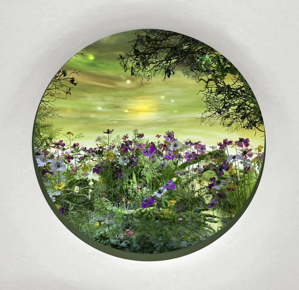 Patrick Jacobs, Marsh with Anemones, 2019 Diorama viewed through 4.5 in. (11.4 cm) window. 15.25 (H) x 14.5 (W) x 12 (D) in. (39 x 37 x 30 cm). Styrene, clay, paper, foam, wood, acrylic, steel, lighting, BK7 glass.