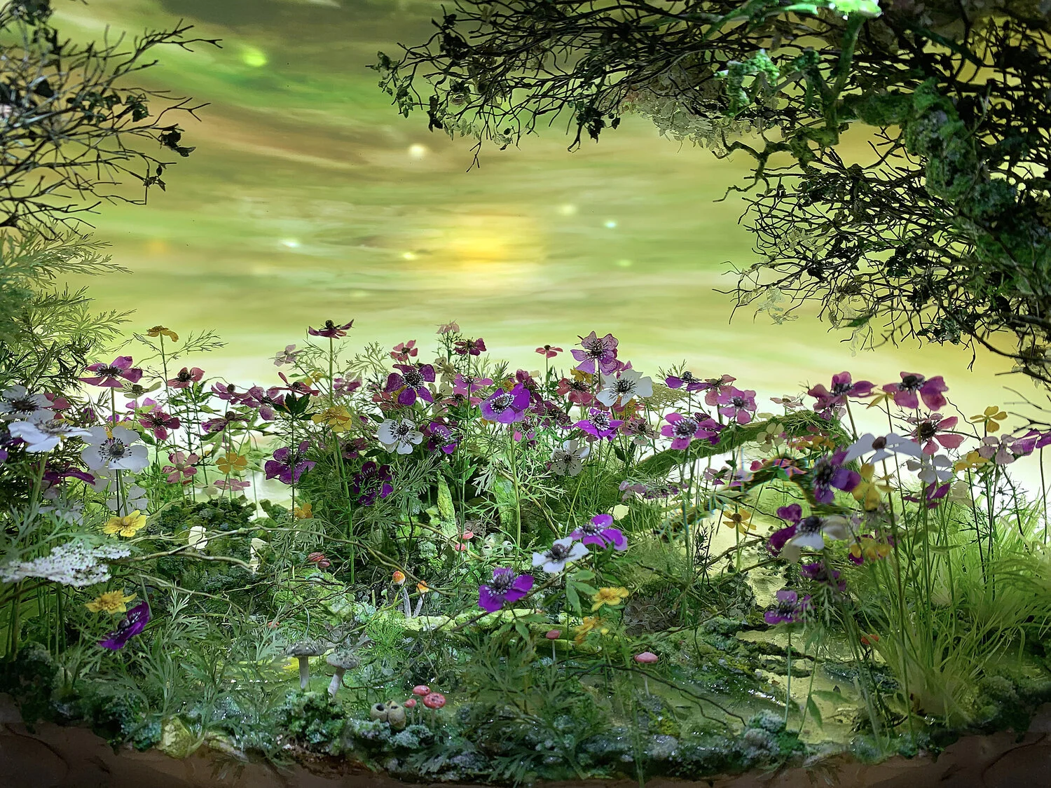 Marsh with Anemones, 2019 (deatail) Diorama viewed through 4.5 in. (11.4 cm) window. 15.25 (H) x 14.5 (W) x 12 (D) in. (39 x 37 x 30 cm). Styrene, clay, paper, foam, wood, acrylic, steel, lighting, BK7 glass.