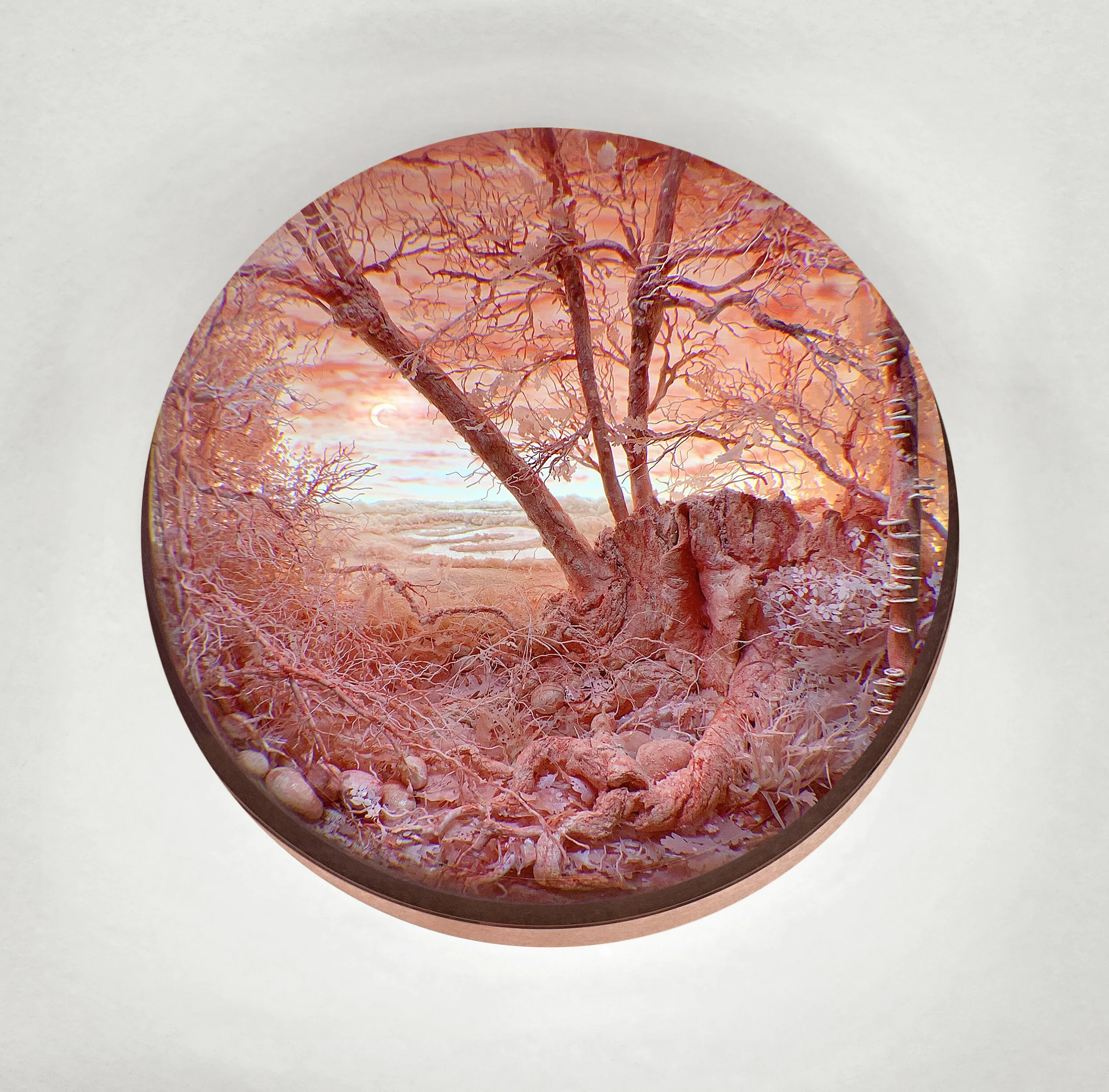 Pink Sickle Moon with Stars, 2019 Diorama viewed through 2.75 in. (7cm) window 4.75 (H) x 11.25 (W) x 9.25 (D) in. (12 x 28.5 x 23 cm). Styrene, clay, paper, foam, wood, acrylic, steel, lighting, BK7 glass