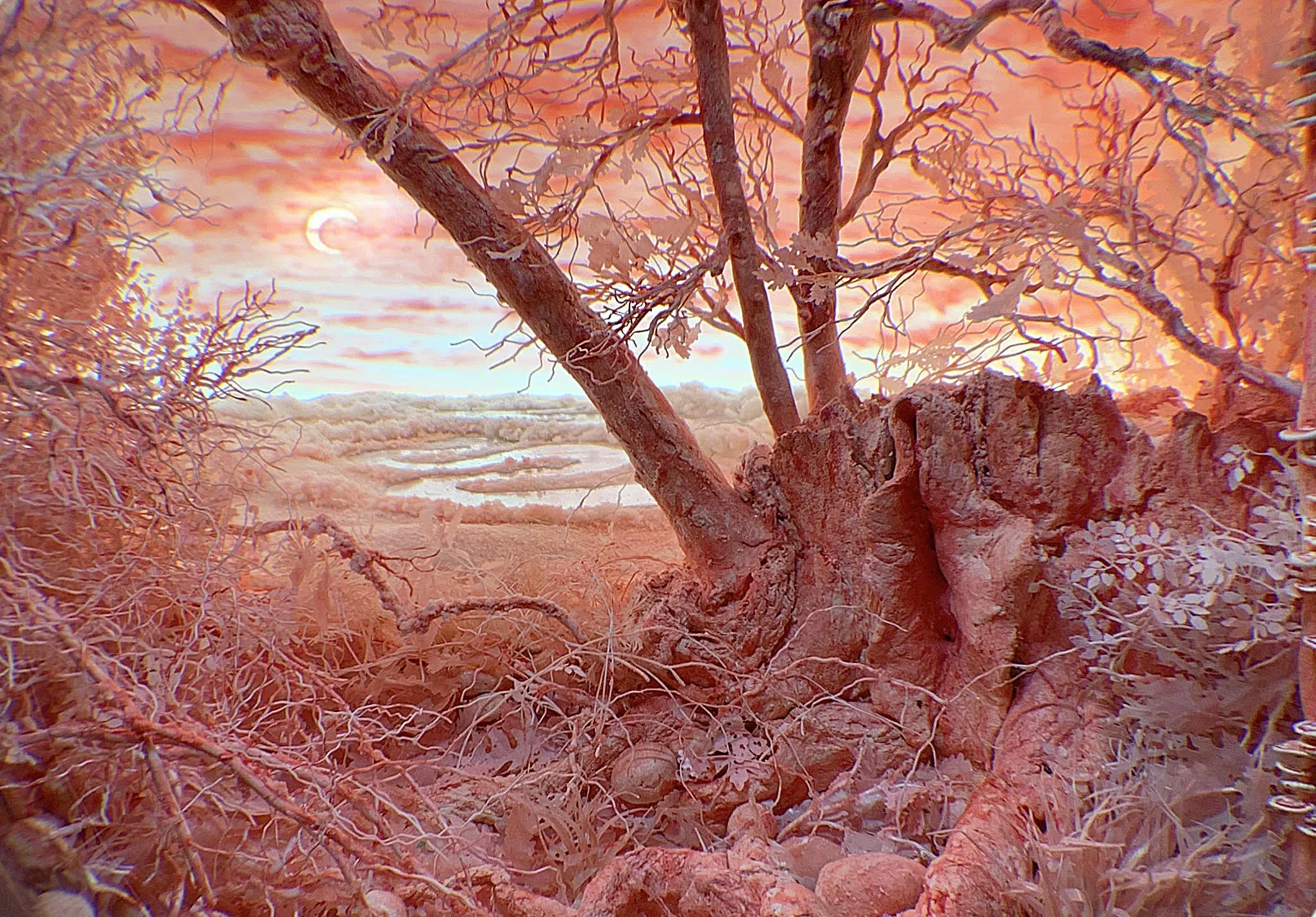 Pink Sickle Moon with Stars, 2019 (deatail) Diorama viewed through 2.75 in. (7cm) window 4.75 (H) x 11.25 (W) x 9.25 (D) in. (12 x 28.5 x 23 cm). Styrene, clay, paper, foam, wood, acrylic, steel, lighting, BK7 glass